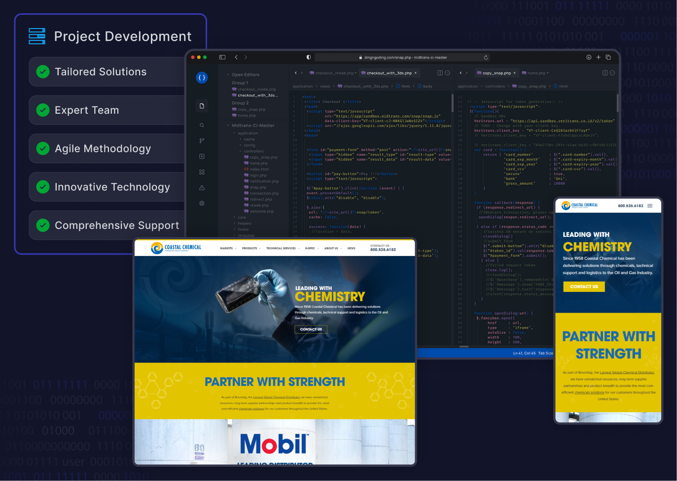 3. Development